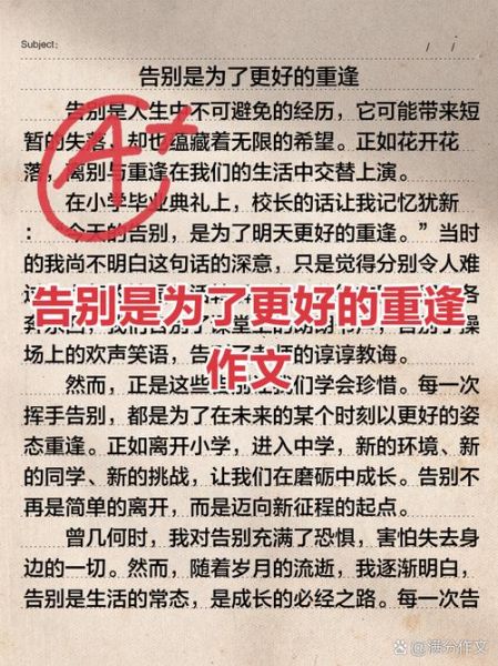 重逢作文400字怎么写_重逢作文400字写作技巧-第1张图片-星辰妙记