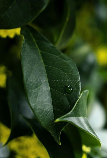 全画幅用残幅镜头可以吗_会损伤相机吗-第1张图片-星辰妙记
