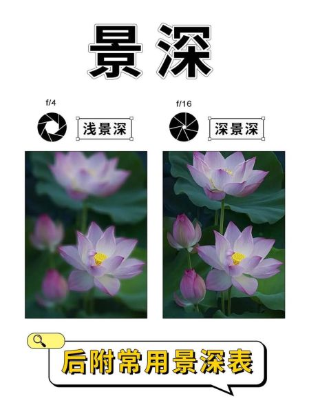 景深长镜头怎么拍_景深长镜头优缺点-第1张图片-星辰妙记