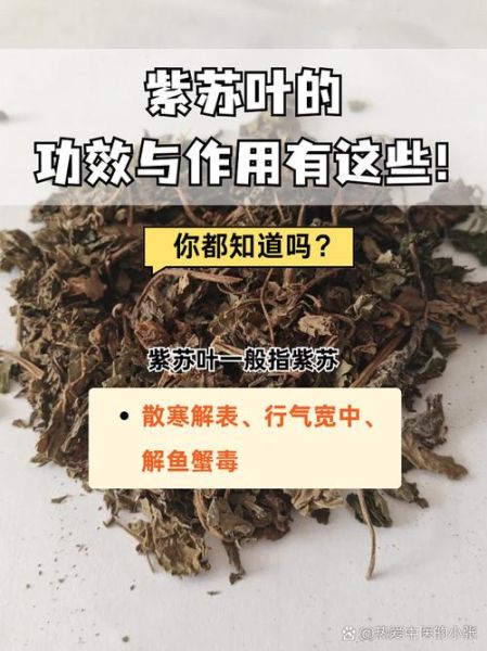 孕妇能吃紫苏叶吗_紫苏叶对孕妇的好处与禁忌-第2张图片-星辰妙记