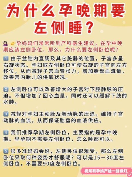 孕妇为什么要左侧睡_不能右侧睡吗-第2张图片-星辰妙记