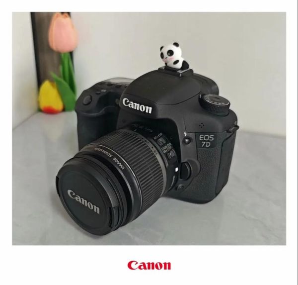 佳能7d配什么镜头好_佳能7d最佳镜头推荐-第1张图片-星辰妙记