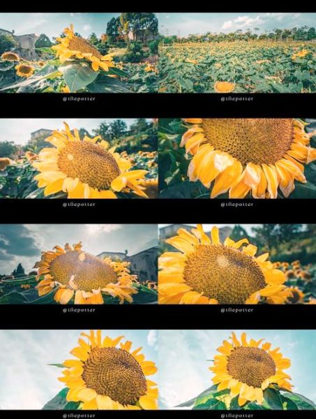 景深镜头的作用_如何提升画面层次感-第3张图片-星辰妙记 景深镜头的作用_如何提升画面层次感-第3张图片-星辰妙记