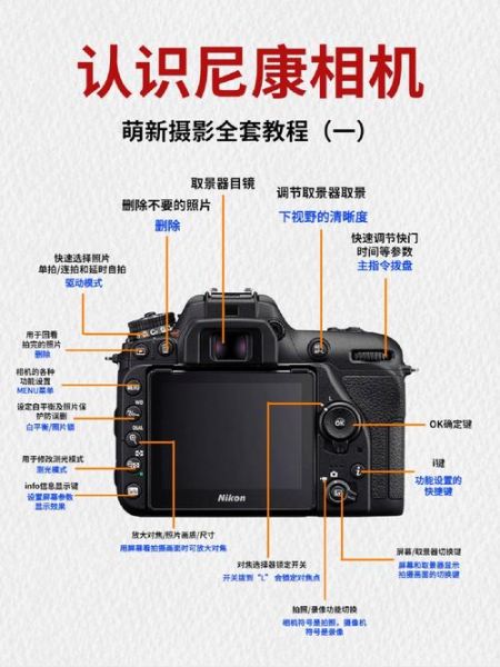 镜头释放按钮在哪_镜头释放按钮怎么按-第2张图片-星辰妙记