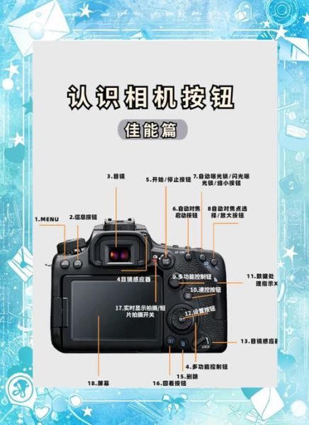 镜头释放按钮在哪_镜头释放按钮怎么按-第3张图片-星辰妙记