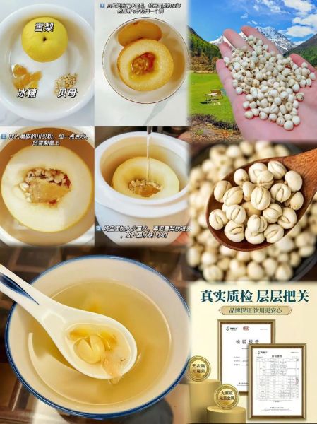 孕妇可以吃川贝吗_川贝炖雪梨孕妇能吃吗-第3张图片-星辰妙记