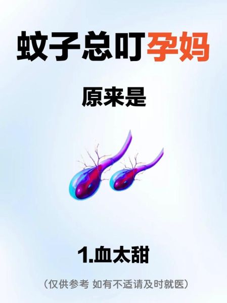 孕妇被蚊子咬了怎么办_孕妇能用驱蚊液吗-第3张图片-星辰妙记 孕妇被蚊子咬了怎么办_孕妇能用驱蚊液吗-第3张图片-星辰妙记