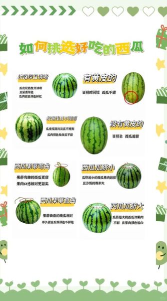 西瓜怎么挑选_西瓜为什么这么甜-第1张图片-星辰妙记