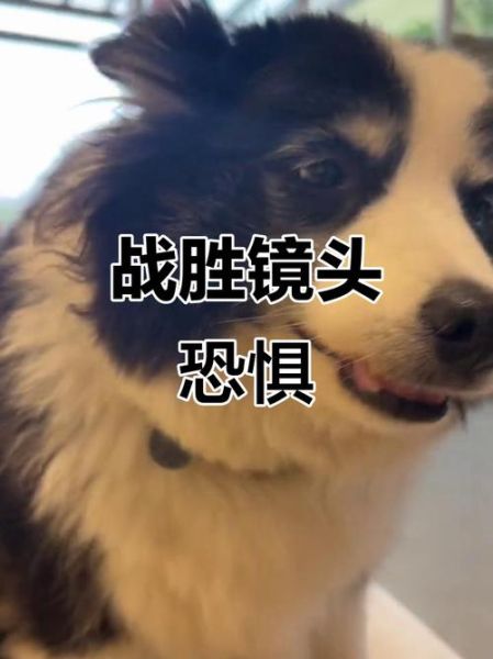 镜头恐惧症怎么克服_害怕镜头怎么办-第1张图片-星辰妙记