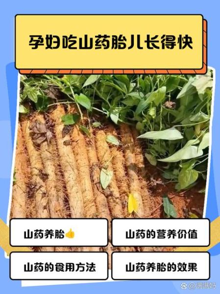 孕妇可以吃山药吗_山药对胎儿有什么好处-第2张图片-星辰妙记 孕妇可以吃山药吗_山药对胎儿有什么好处-第2张图片-星辰妙记