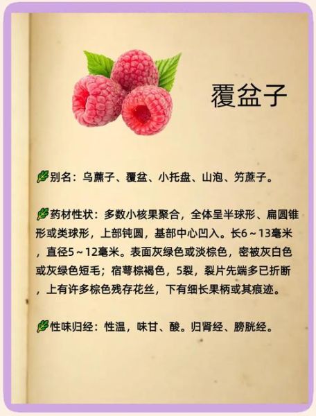 孕妇能吃覆盆子吗_覆盆子对孕妇的好处-第1张图片-星辰妙记 孕妇能吃覆盆子吗_覆盆子对孕妇的好处-第1张图片-星辰妙记