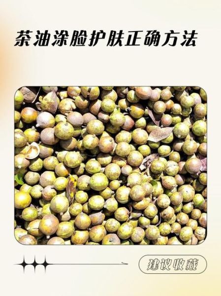 孕妇可以用茶油擦脸吗_茶油护肤安全吗-第3张图片-星辰妙记