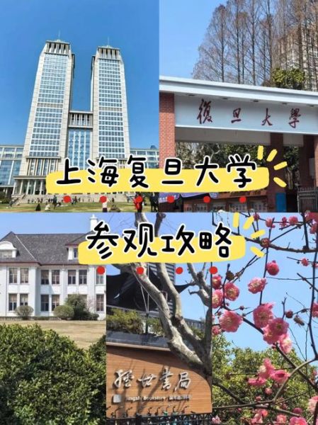 复旦大学在上海哪个区_复旦大学具体地址在哪-第1张图片-星辰妙记