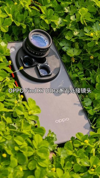 微距用什么镜头_微距镜头怎么选-第2张图片-星辰妙记 微距用什么镜头_微距镜头怎么选-第2张图片-星辰妙记