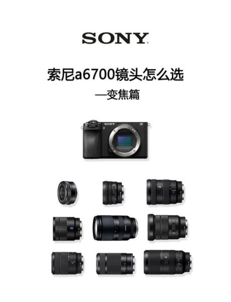 单反镜头怎么选_单反镜头哪个品牌好-第2张图片-星辰妙记 单反镜头怎么选_单反镜头哪个品牌好-第2张图片-星辰妙记