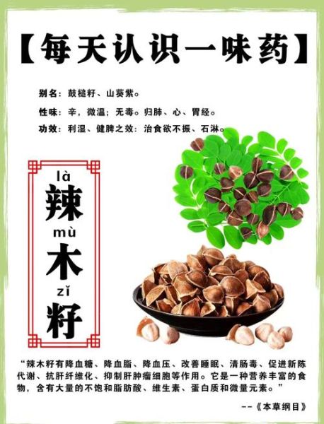 孕妇可以吃辣木籽吗_辣木籽对孕妇的影响-第1张图片-星辰妙记 孕妇可以吃辣木籽吗_辣木籽对孕妇的影响-第1张图片-星辰妙记