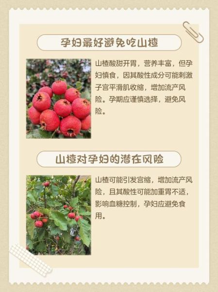 孕妇能吃山楂吗_山楂对胎儿的影响-第3张图片-星辰妙记