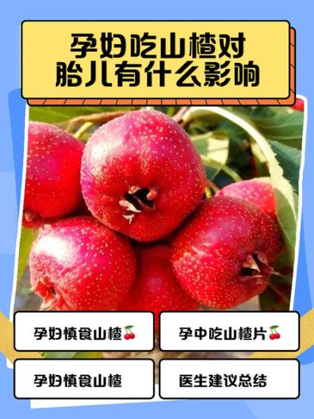 孕妇能吃山楂吗_山楂对胎儿的影响-第1张图片-星辰妙记