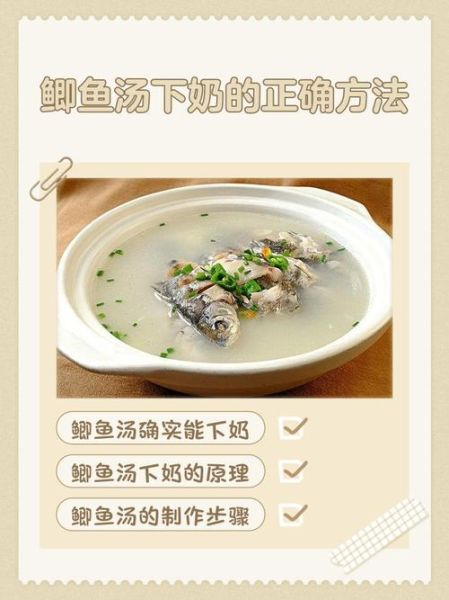 孕妇可以吃鲫鱼吗_鲫鱼汤怎么做最下奶-第2张图片-星辰妙记
