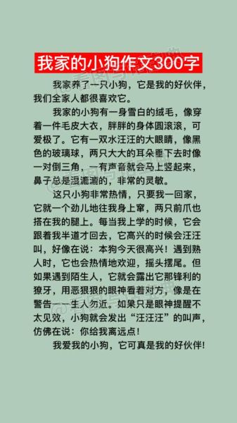 我家的小狗作文怎么写_三年级300字范文-第1张图片-星辰妙记 我家的小狗作文怎么写_三年级300字范文-第1张图片-星辰妙记
