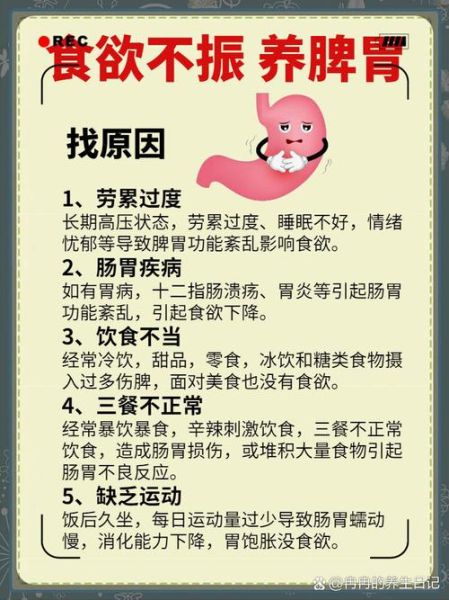 孕妇脾胃虚弱吃什么好_如何调理脾胃-第1张图片-星辰妙记 孕妇脾胃虚弱吃什么好_如何调理脾胃-第1张图片-星辰妙记