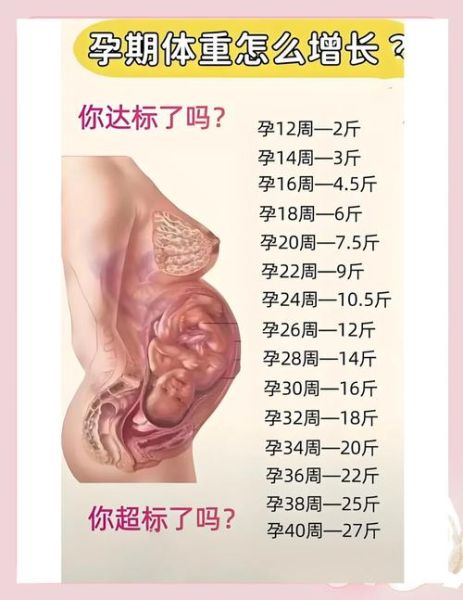 孕妇体重增长标准_孕期体重怎么控制-第1张图片-星辰妙记 孕妇体重增长标准_孕期体重怎么控制-第1张图片-星辰妙记