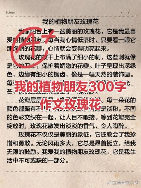 好一朵花作文怎么写_好一朵花作文600字范文-第3张图片-星辰妙记