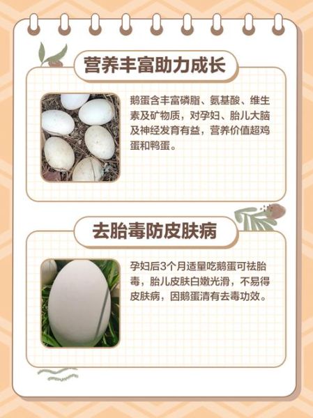 孕妇吃鹅蛋好吗_孕妇吃鹅蛋有什么好处-第3张图片-星辰妙记 孕妇吃鹅蛋好吗_孕妇吃鹅蛋有什么好处-第3张图片-星辰妙记