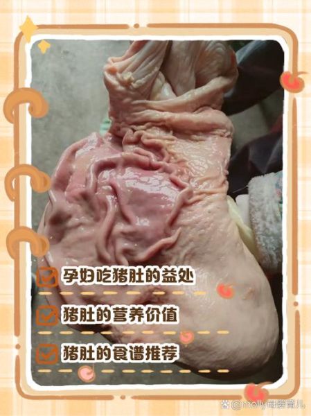 孕妇吃猪肚有什么好处_孕妇吃猪肚对胎儿好吗-第3张图片-星辰妙记