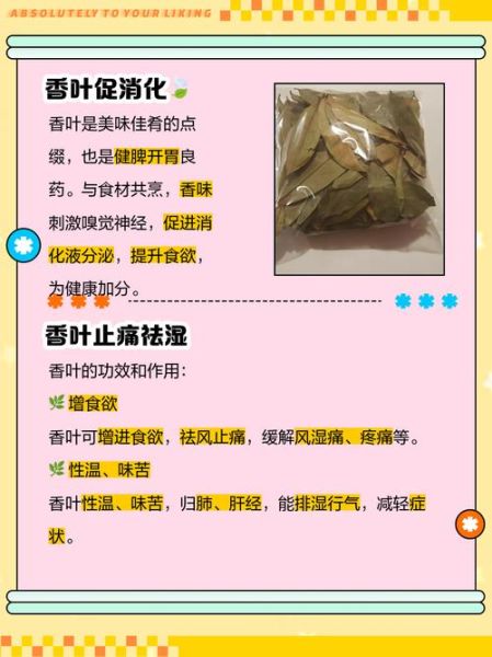 香叶孕妇能吃吗_香叶对孕妇的影响-第1张图片-星辰妙记 香叶孕妇能吃吗_香叶对孕妇的影响-第1张图片-星辰妙记
