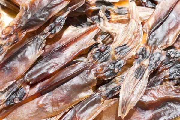 孕妇可以吃鱿鱼吗_孕期吃鱿鱼注意事项-第3张图片-星辰妙记