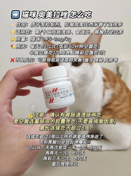 奥美拉唑孕妇可以吃吗_怀孕胃酸过多怎么办-第3张图片-星辰妙记