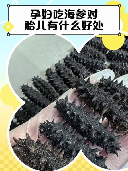 孕妇吃海参对胎儿有什么好处_海参对胎儿发育真的好吗-第1张图片-星辰妙记