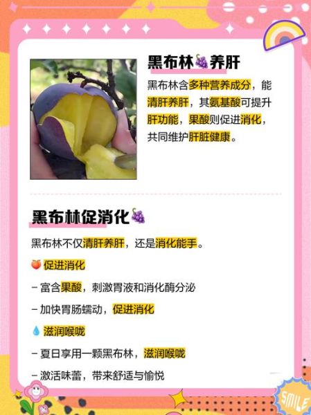孕妇能吃黑布林吗_黑布林对胎儿有影响吗-第1张图片-星辰妙记