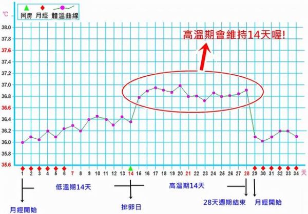 孕妇正常体温范围是多少_怀孕后体温会升高吗-第3张图片-星辰妙记 孕妇正常体温范围是多少_怀孕后体温会升高吗-第3张图片-星辰妙记