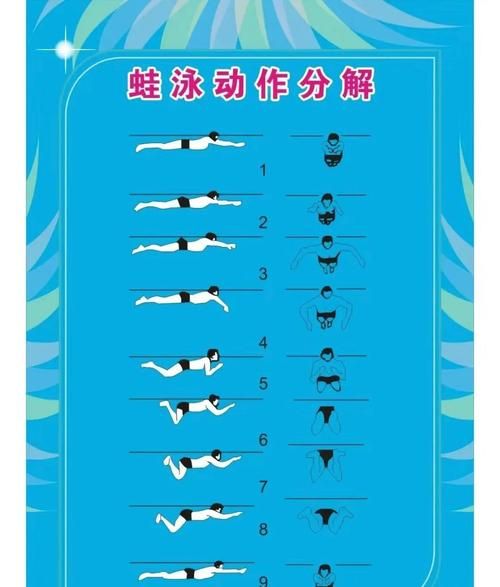 游泳初学者怎么学_游泳多久能学会-第2张图片-星辰妙记