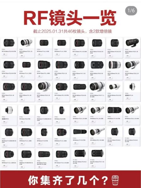 佳能原装镜头怎么选_EF镜头与RF镜头区别-第3张图片-星辰妙记