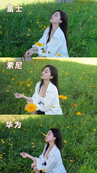 双镜头相机怎么选_拍人像还是拍风景-第1张图片-星辰妙记