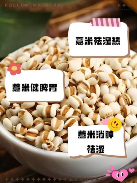 孕妇能吃薏米吗_薏米对孕妇的影响-第3张图片-星辰妙记 孕妇能吃薏米吗_薏米对孕妇的影响-第3张图片-星辰妙记