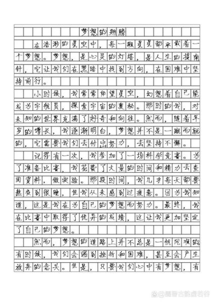 中考作文怎么写_中考语文作文范文-第1张图片-星辰妙记