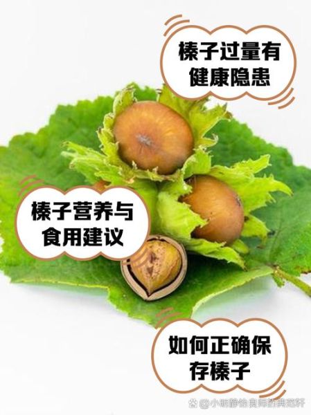 孕妇可以吃榛子吗_孕期吃榛子注意事项-第1张图片-星辰妙记