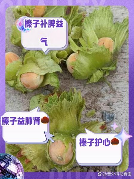 孕妇可以吃榛子吗_孕期吃榛子注意事项-第3张图片-星辰妙记