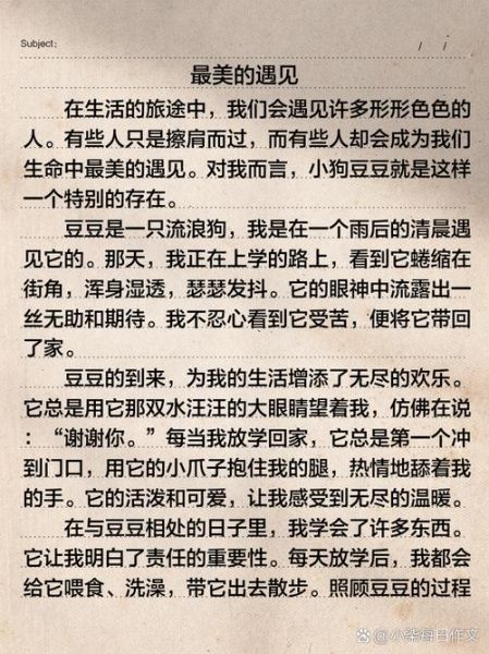 最美的遇见作文怎么写_最美的遇见600字范文-第3张图片-星辰妙记 最美的遇见作文怎么写_最美的遇见600字范文-第3张图片-星辰妙记